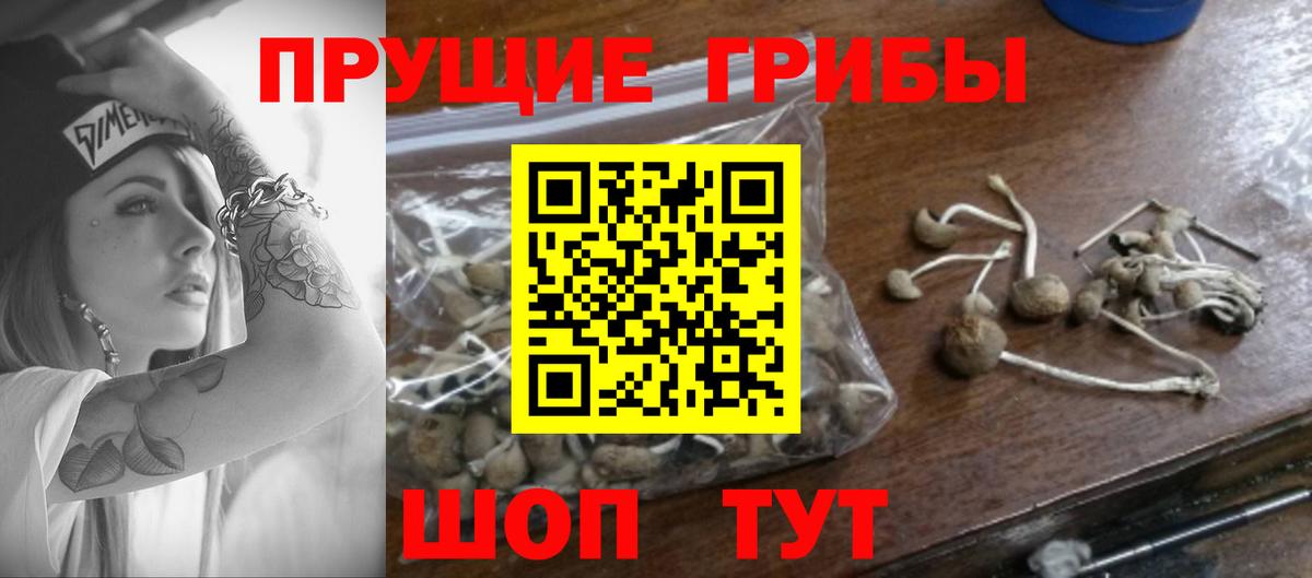 Галлюциногенные грибы мицелий Чайковский